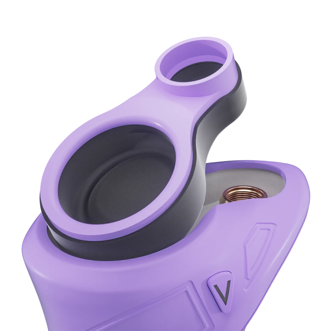 Focus V - CARTA SPORT Connect - Lilac