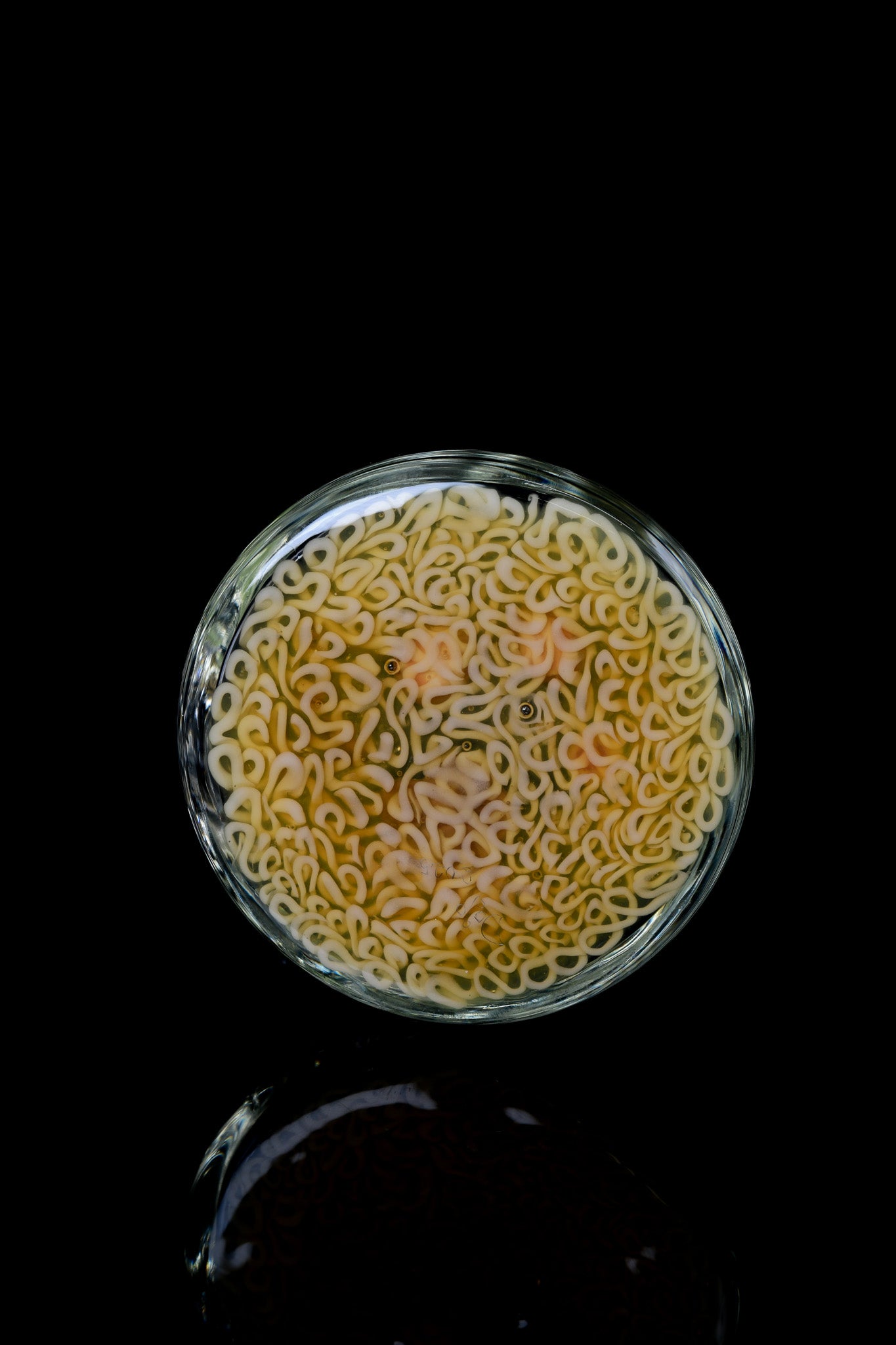 Dojo - Mini Ramen Beaker