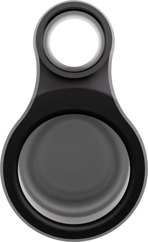 Focus V - CARTA SPORT Connect