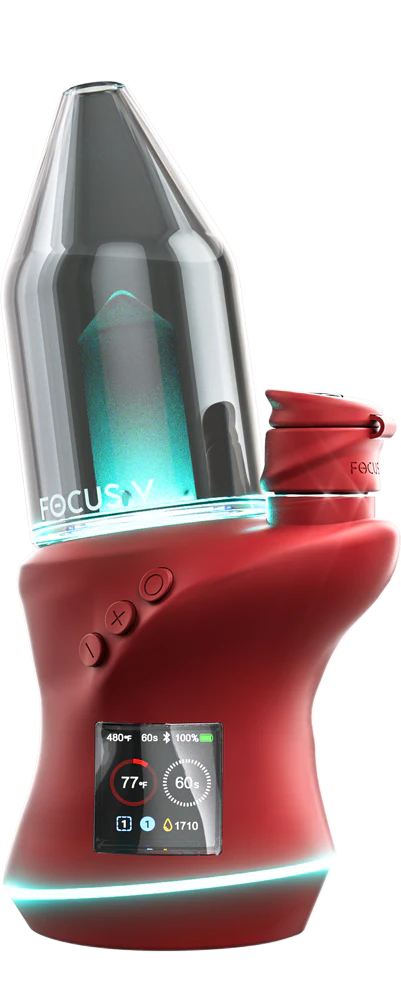 Focus V - Carta 2 Bordeaux