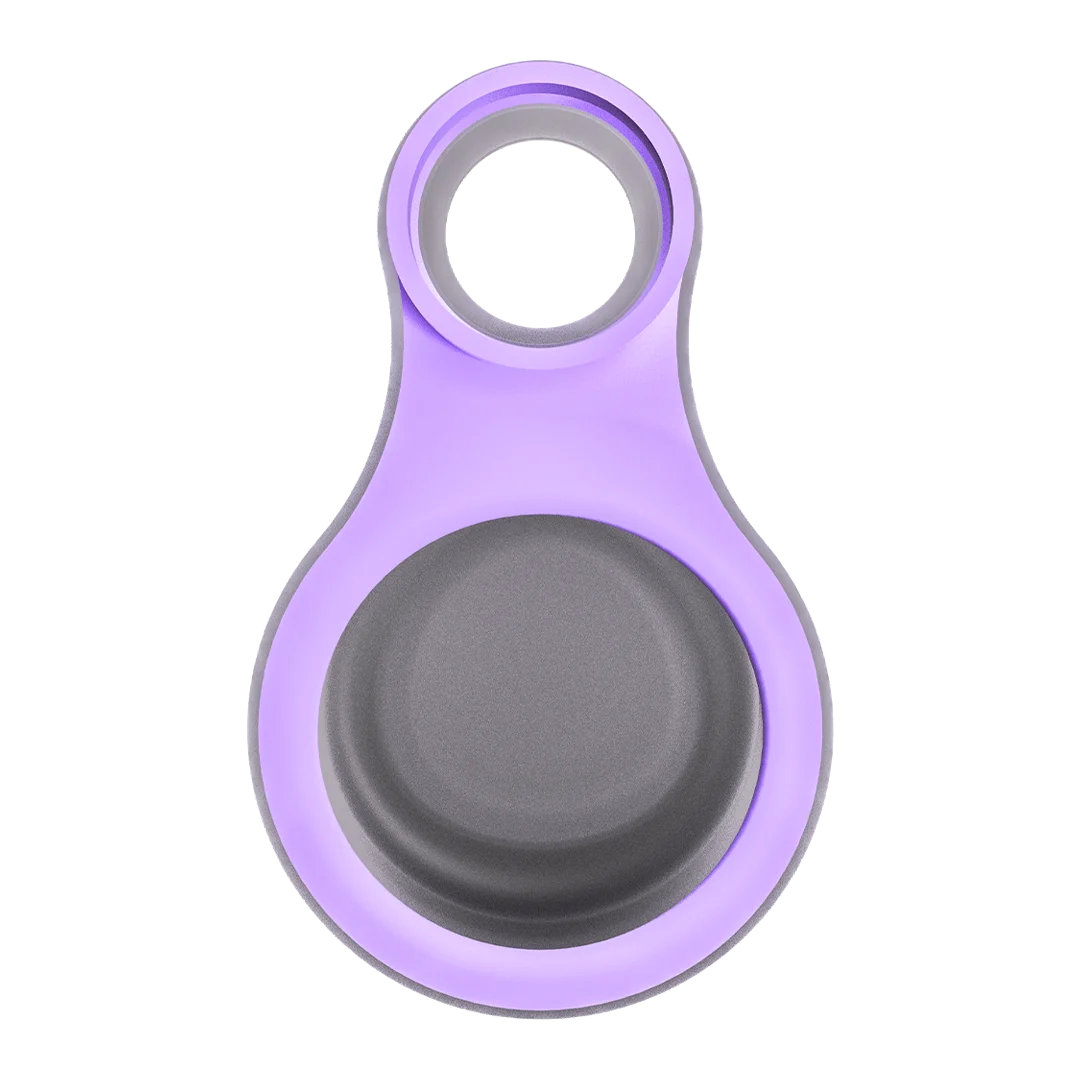 Focus V - CARTA SPORT Connect - Lilac