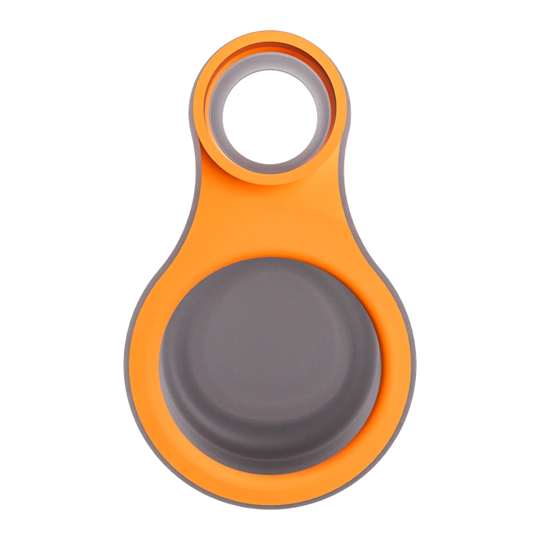 Focus V - CARTA SPORT Connect - Tangerine