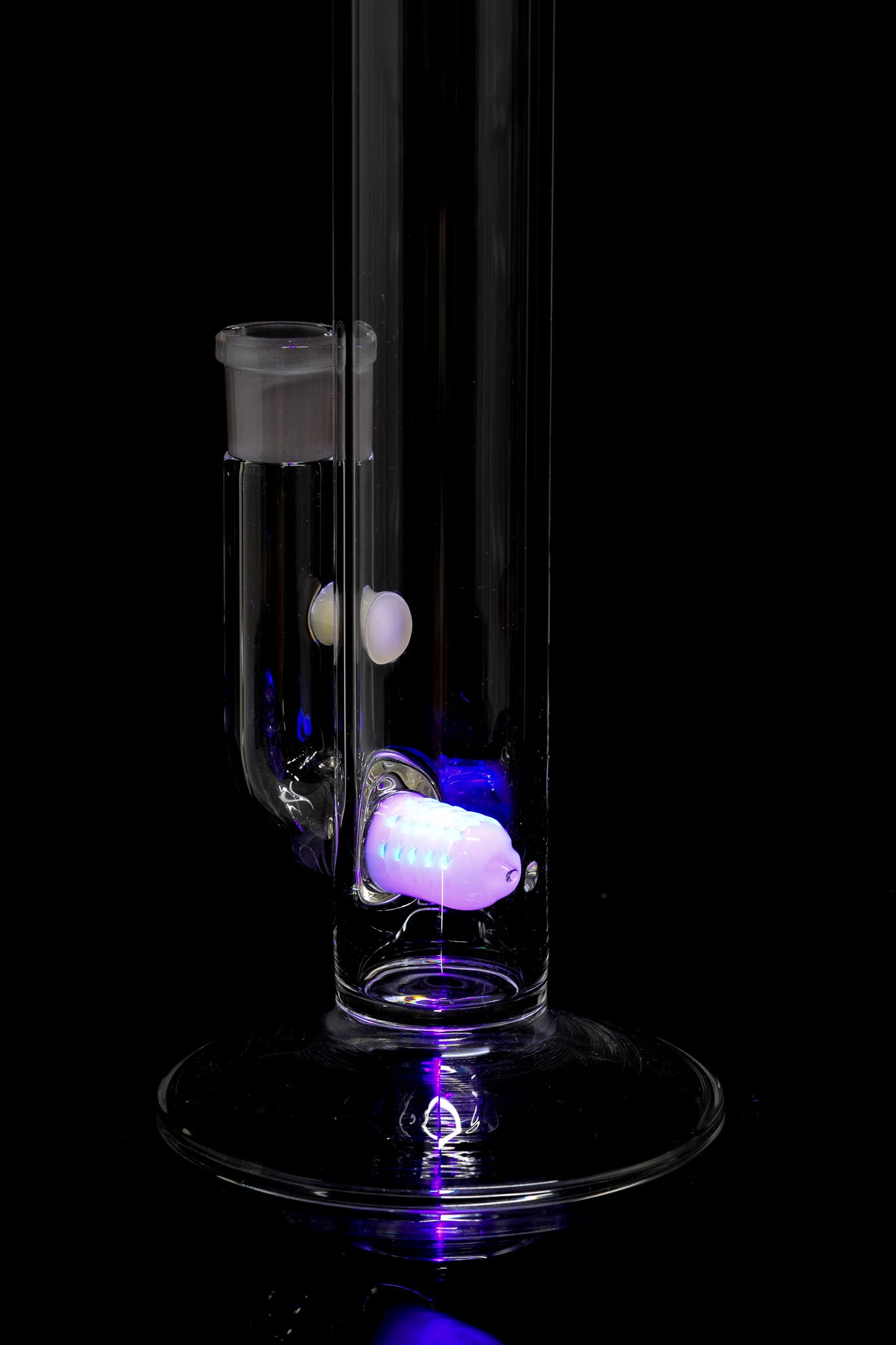 Titz Glass - FA Inline - 1