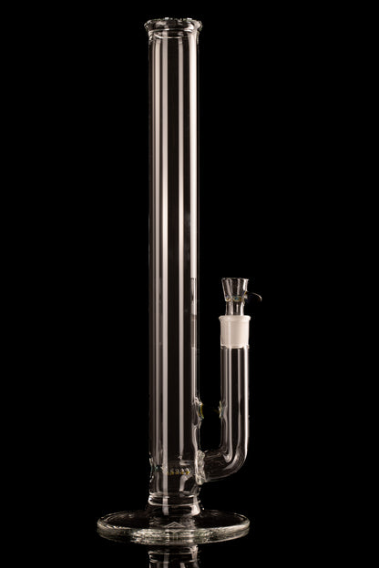 Al Gore - Partial Accent Stemline - 4