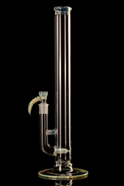 Al Gore - Full Accent Stemline - 3