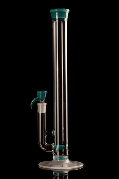 Al Gore - Full Accent Stemline - 4