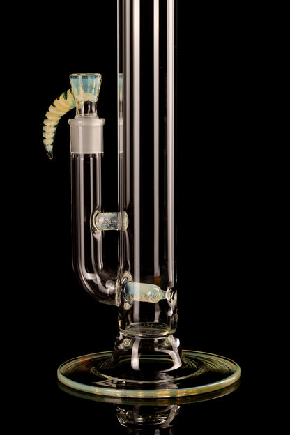 Al Gore - Full Accent Stemline - 3