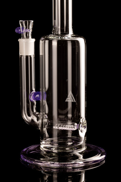 Al Gore - Partial Accent King Stem - 2