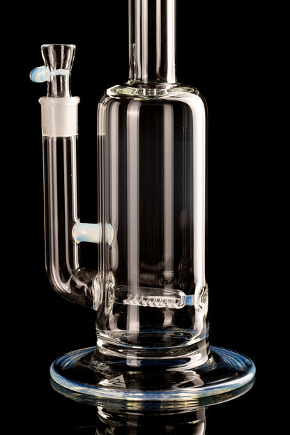 Al Gore - Partial Accent King Stem - 1