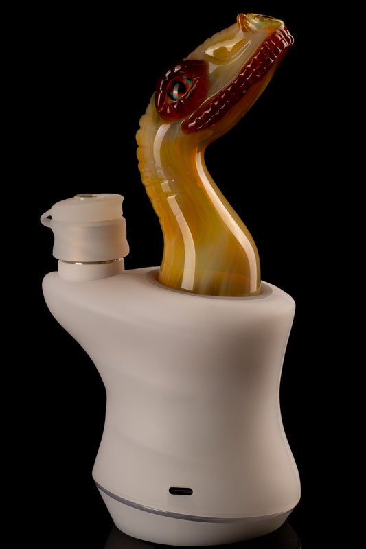 Amorphous Symphony - Dino Carta Dry Top