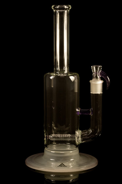 Al Gore - Partial Accent King Stem - 4