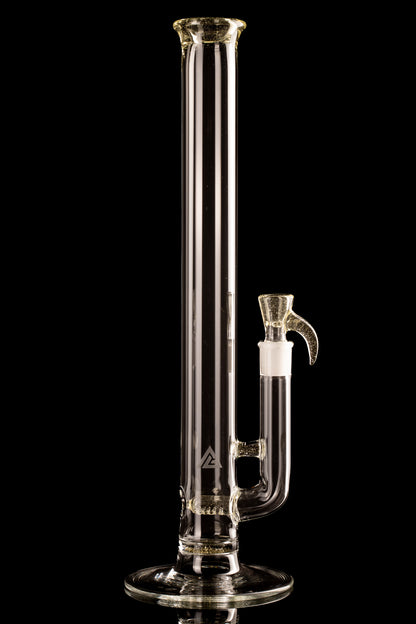 Al Gore - Full Accent Stemline - 5