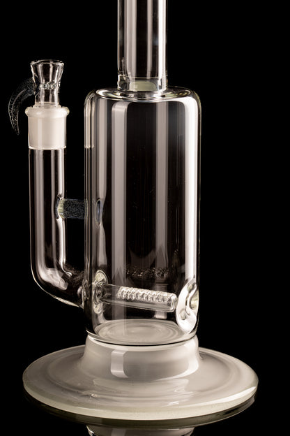 Al Gore - Partial Accent King Stem - 4