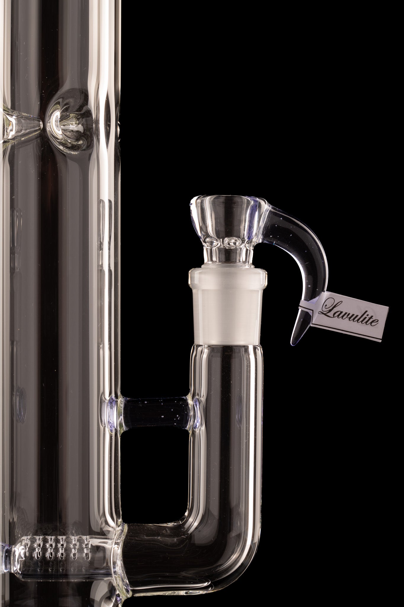Sovereignty - PA - 50x5 - Upgrid 16mm 6 Cut Stemline - Lavulite