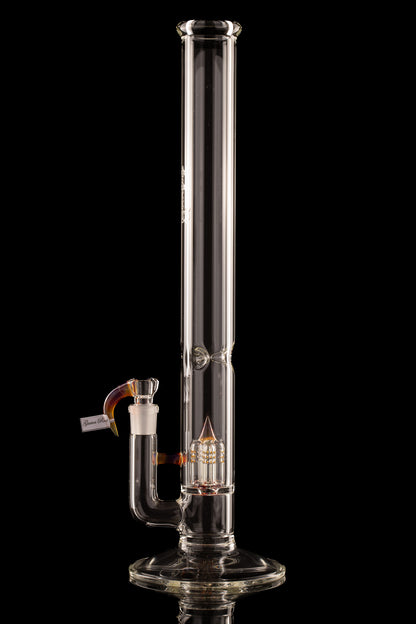 Sovereignty - MA - 50x5 - Inverted 4 - Guava Root