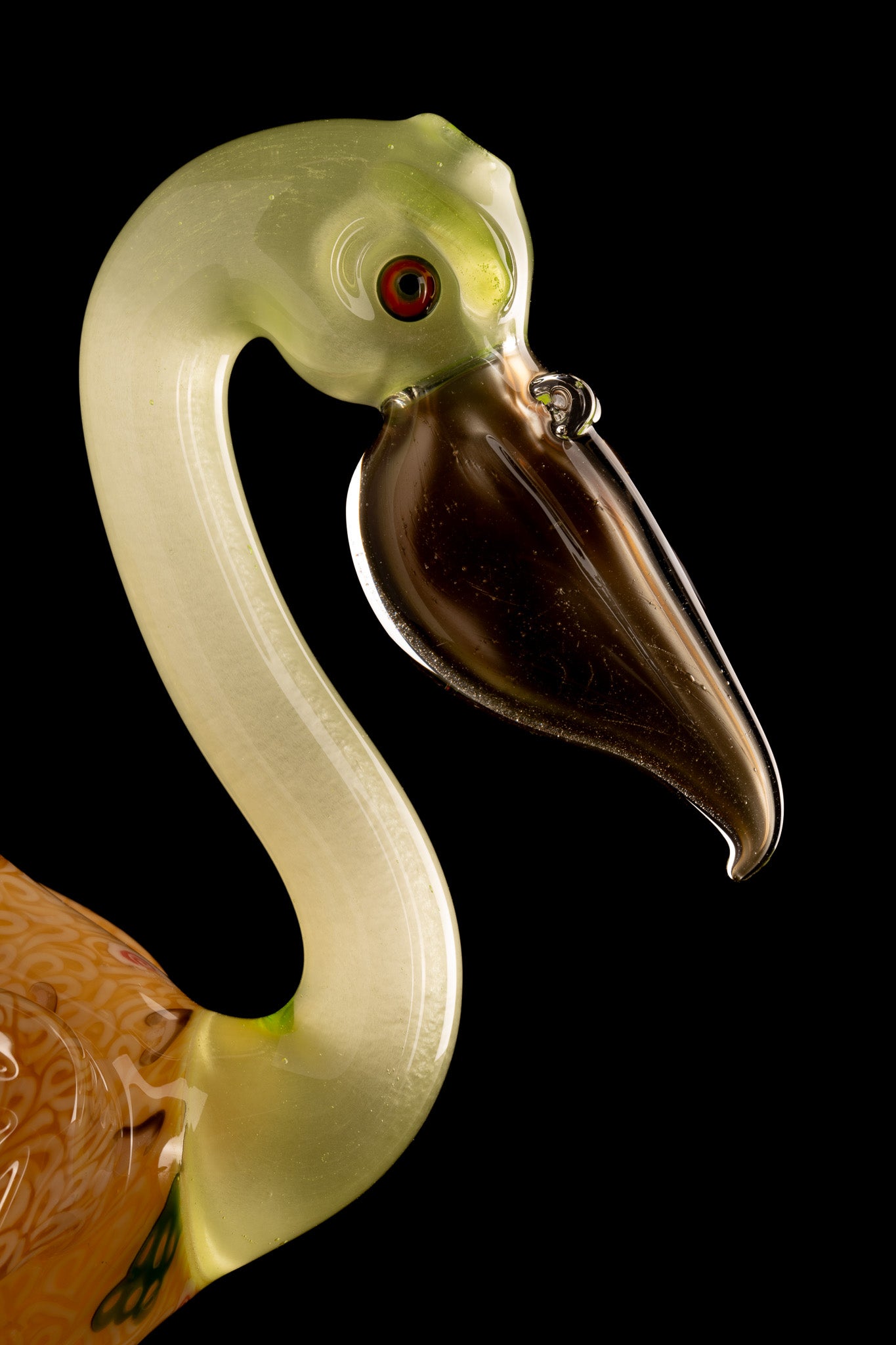 Burtoni X Dojo - Ramen Uv Pelican Rig