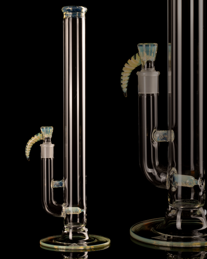 Al Gore - Full Accent Stemline - 3