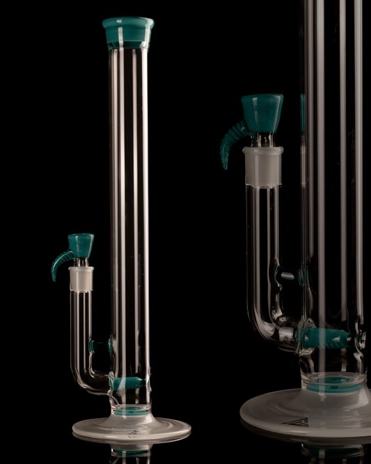 Al Gore - Full Accent Stemline - 4