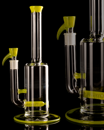 Al Gore - Full Accent King Stem - 1