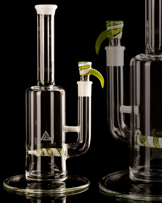 Al Gore - Full Accent King Stem - 2