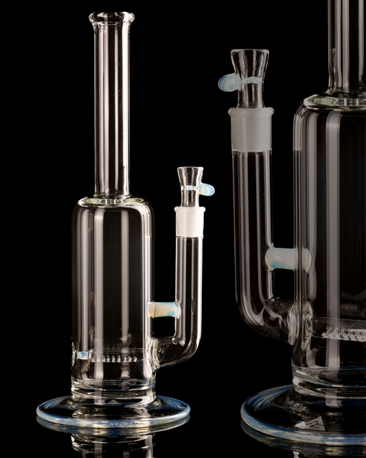 Al Gore - Partial Accent King Stem - 1