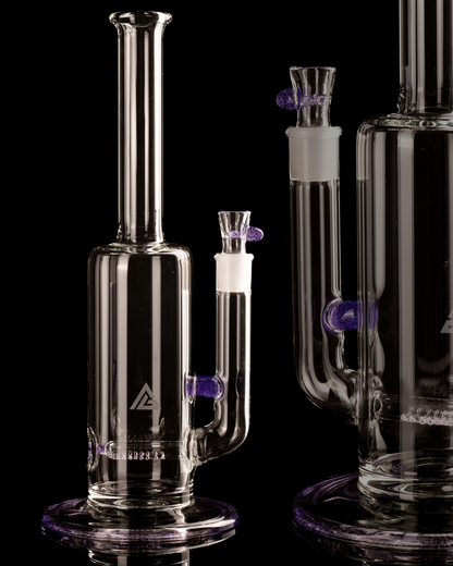 Al Gore - Partial Accent King Stem - 2