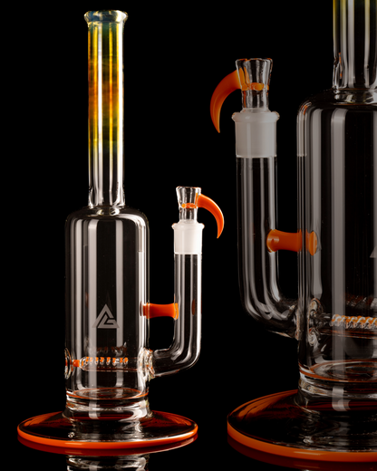 Al Gore - Partial Accent King Stem - 3