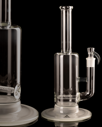 Al Gore - Partial Accent King Stem - 4