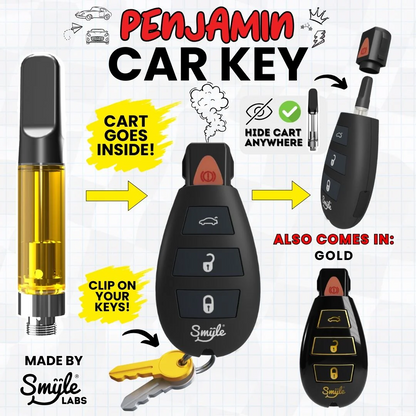 Smyle - Penjamin Car Key Battery