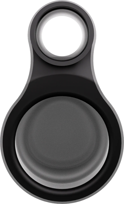 Focus V - CARTA SPORT Connect