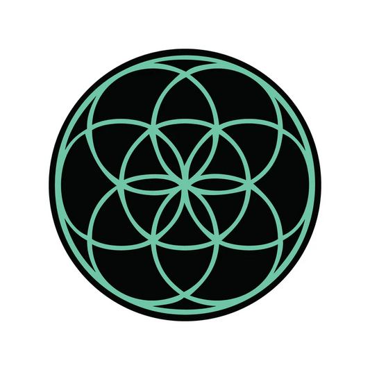 Mood Mats - Aqua Seed - 8" - 2024