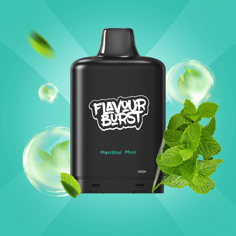 Burst X Pod 40K - Menthol Mint [FED]